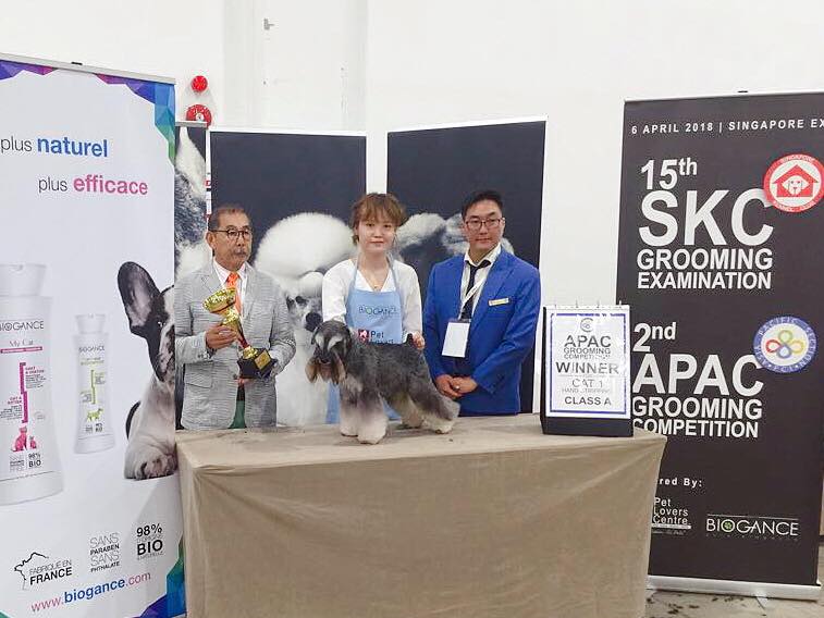 APAC Grooming Competition, Category 1, Hand-stripping, Class A, Winner