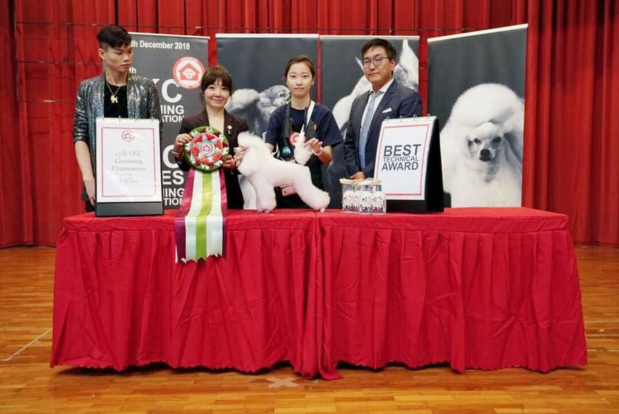 6th Singapore Kennel Club (SKC) Elites Grooming Competition, 28th December 2018