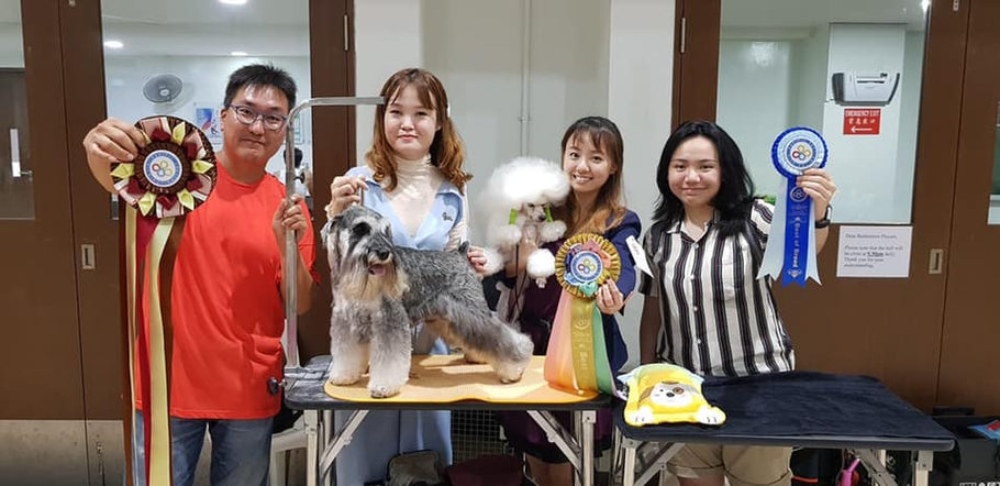 8th FCI Asia-Pacific Championship Dog Show