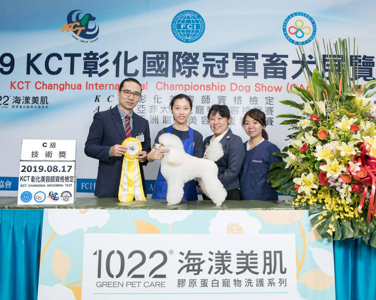 Kennel Club of Taiwan (KCT) Grooming Examination, 17th August 2019