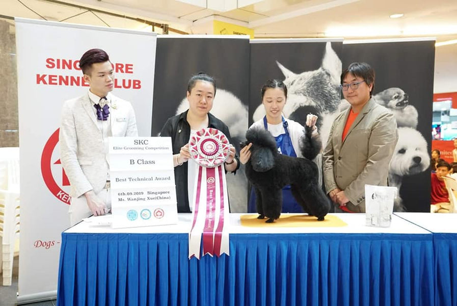 8th SKC Elites Grooming Competition, 6th September 2019