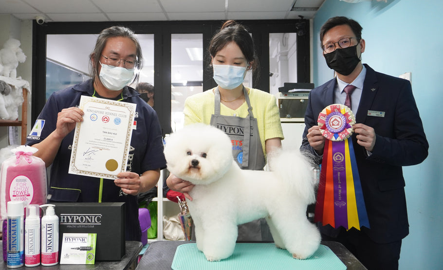 Singapore Kennel Club 26th Grooming Examination, 25th April 2022