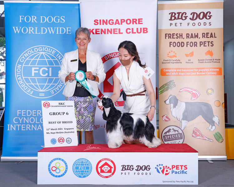 11-12th March 2023 Championship Dog Shows